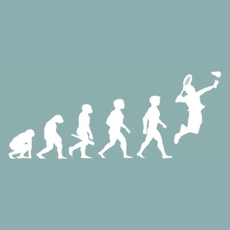 Evolution badminton shuttlecock shuttlecock player