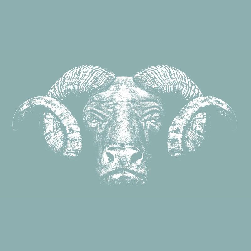Minotaur / Head