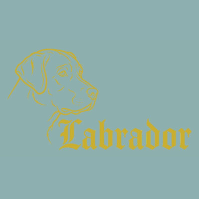 Labrador – Élégance intemporelle