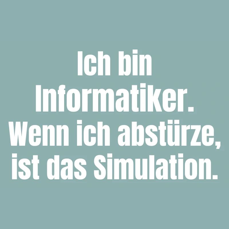 I'm a computer scientist – crash as a simulation
