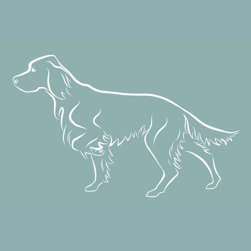 Setter ci-dessus