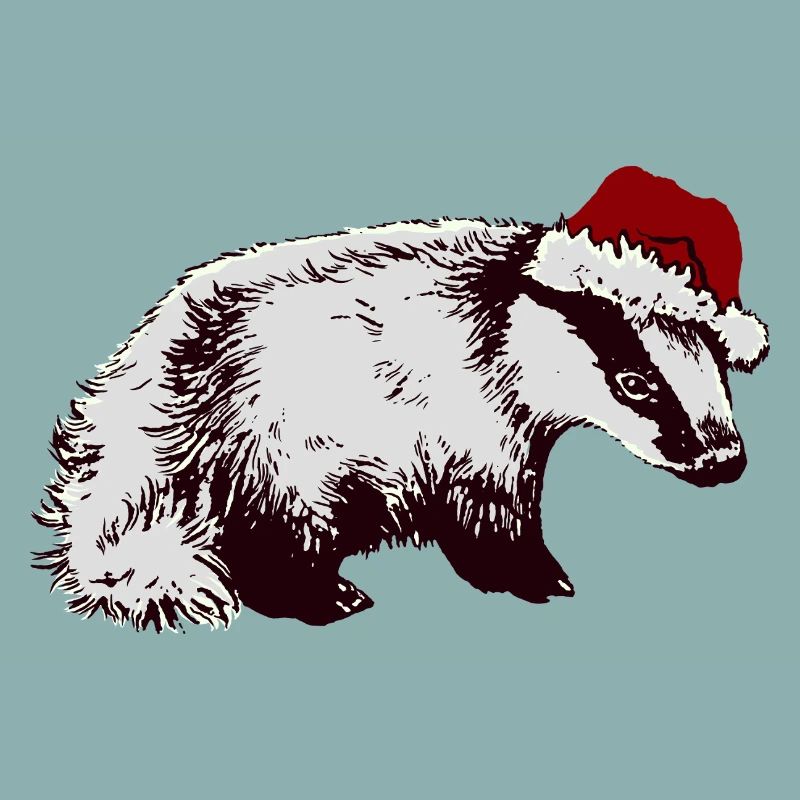 WEIHNACHTSDACHS