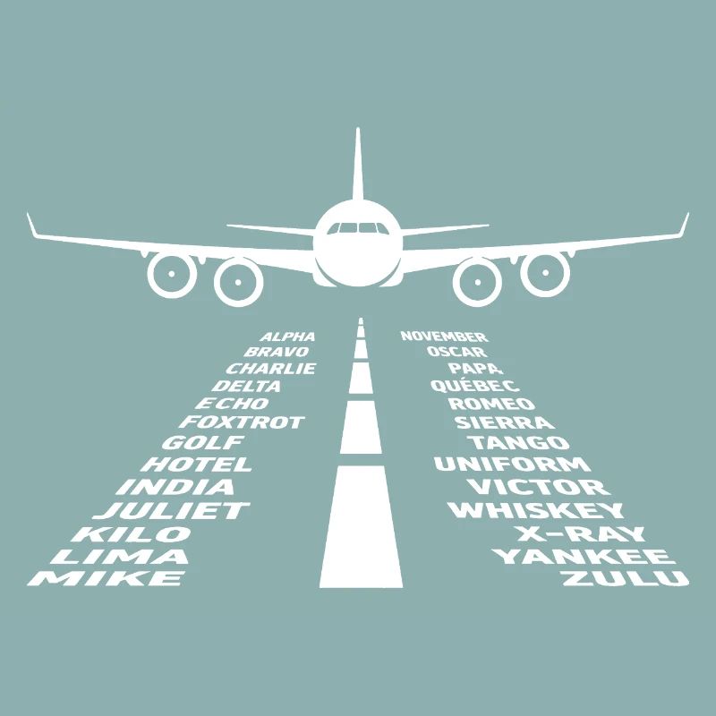Flugzeug Flug Pilot Flugzeug Fluggesellschaft