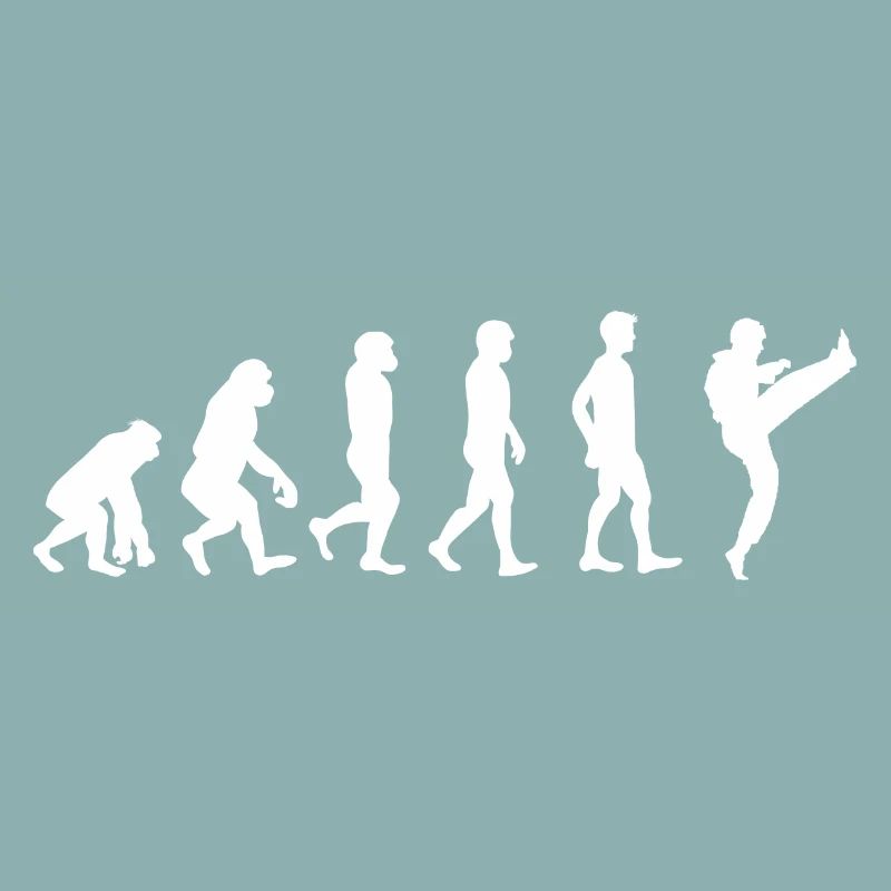 Evolution Karate