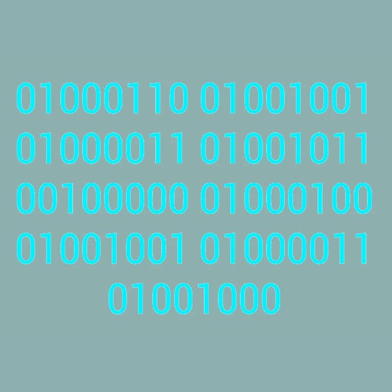 BINARY CODE / BINARY CODE F**K YOU GIFT IDEA