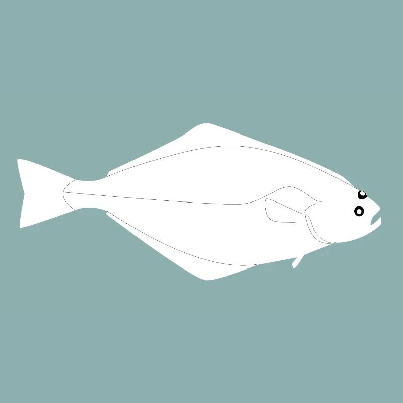 Heilbutt Vollformat weiß