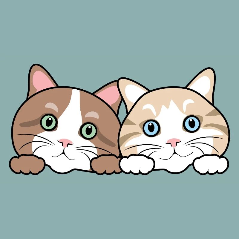 Deux chats drôles de regards