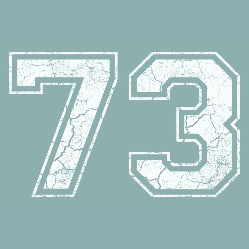 73 dans blanc in Used Look