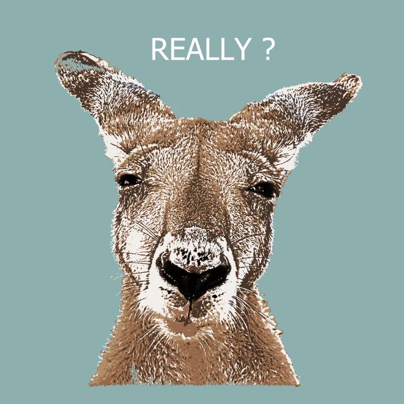 Kangaroo really?