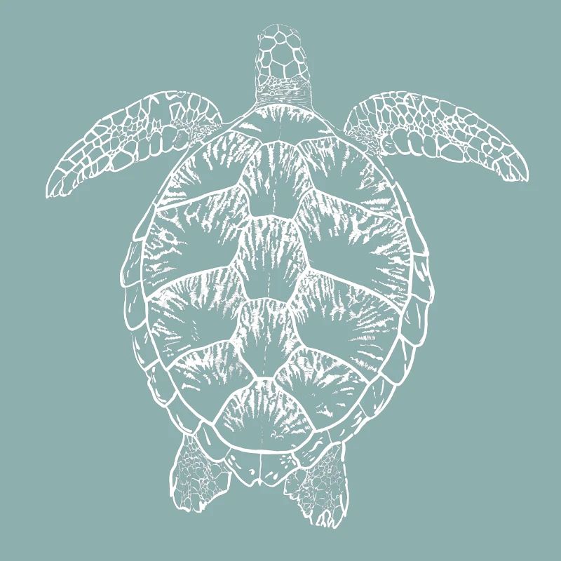 Tortue blanche2