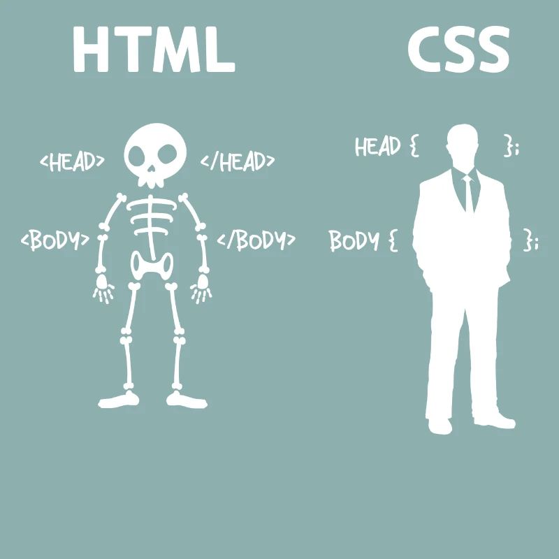 Code Css C++ Php Java Développeur Code Scripting