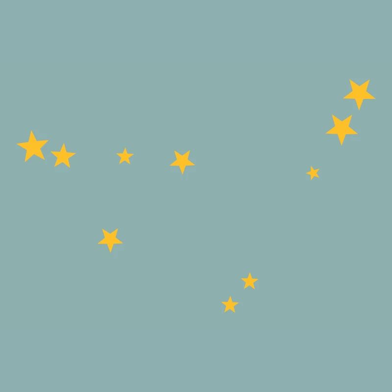 Capricorn constellation