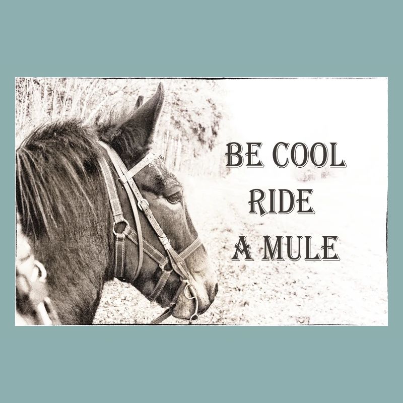 Be Cool Ride A Mule