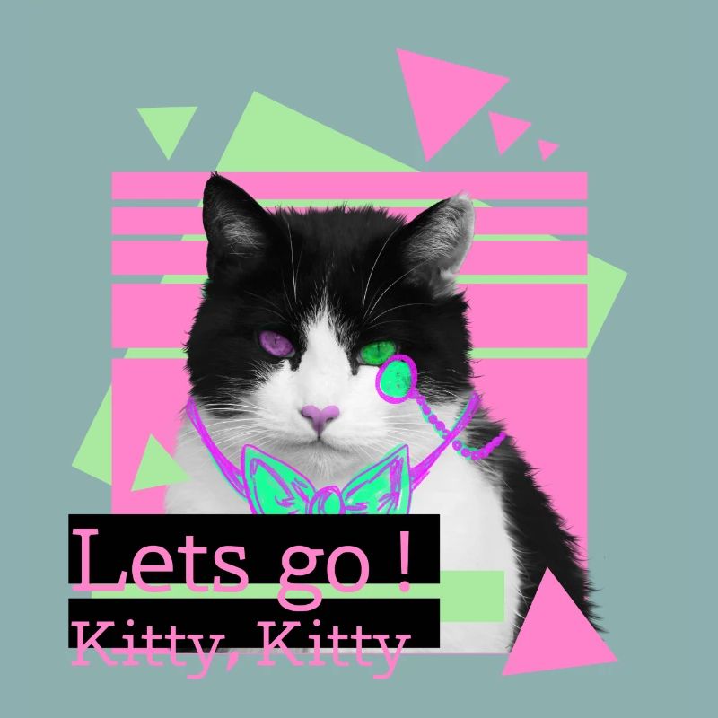 Lets go kitty, kitty
