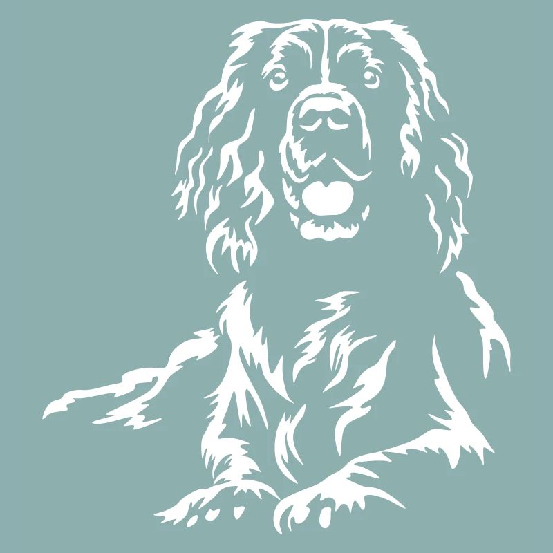 Englischer Springer Spaniel "Black Edition"