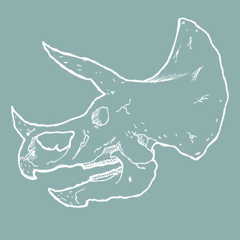 Dinosaurier Skelett - Triceratops Schädel