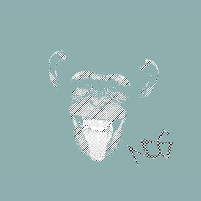 monkey