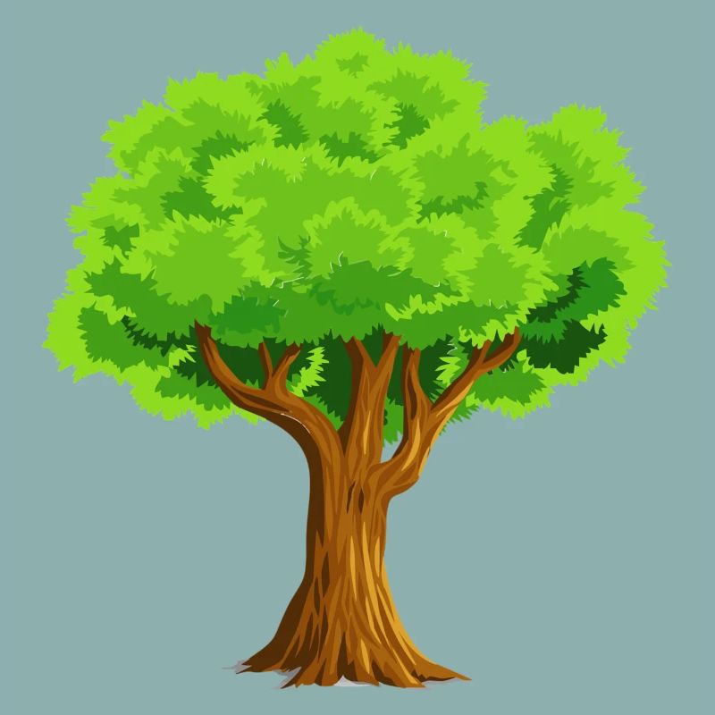 Baum