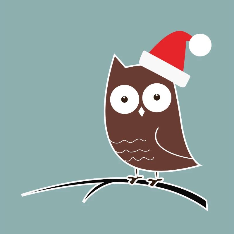 Die Weihnachts-Eule! Geschenk Idee