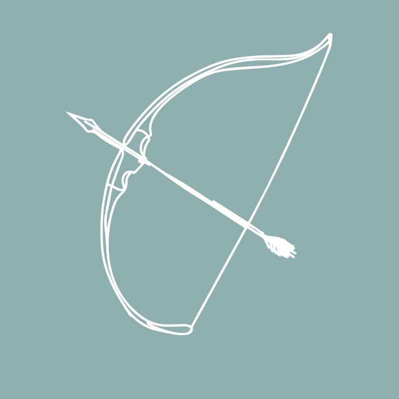 Bow and arrow