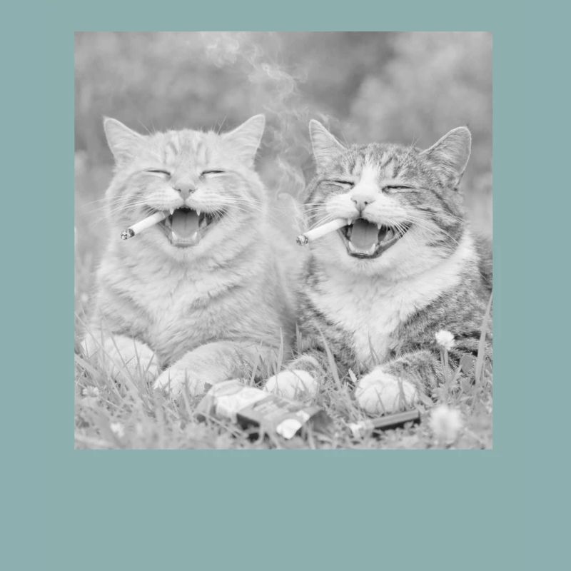 Drôle de design de chat