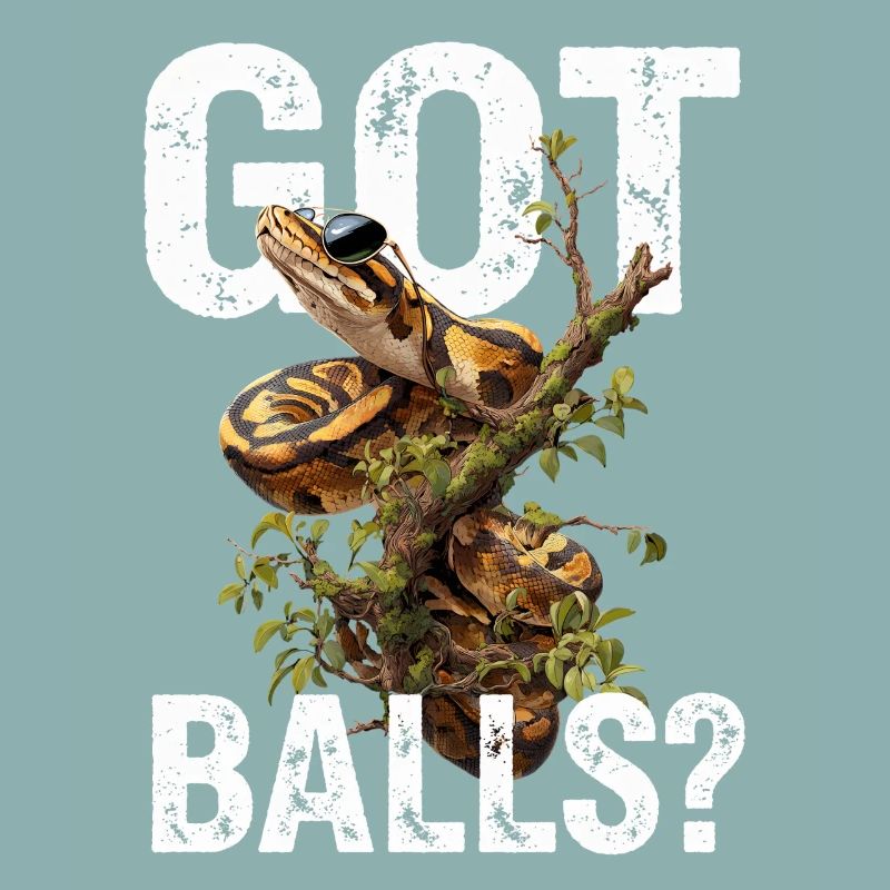 Königspython Schlangen Liebhaber Terrarium Python