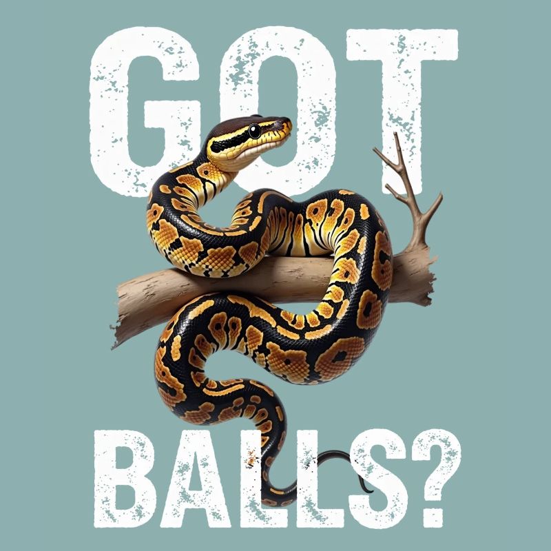 Python roi Serpents Amateurs de terrarium Python