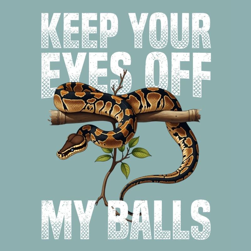 Königspython Schlangen Liebhaber Terrarium Python