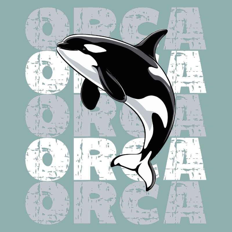  Orca Killerwal Ocean Meer Meeresleben Orca