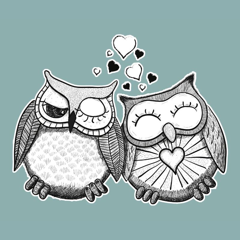 Owl couple in love