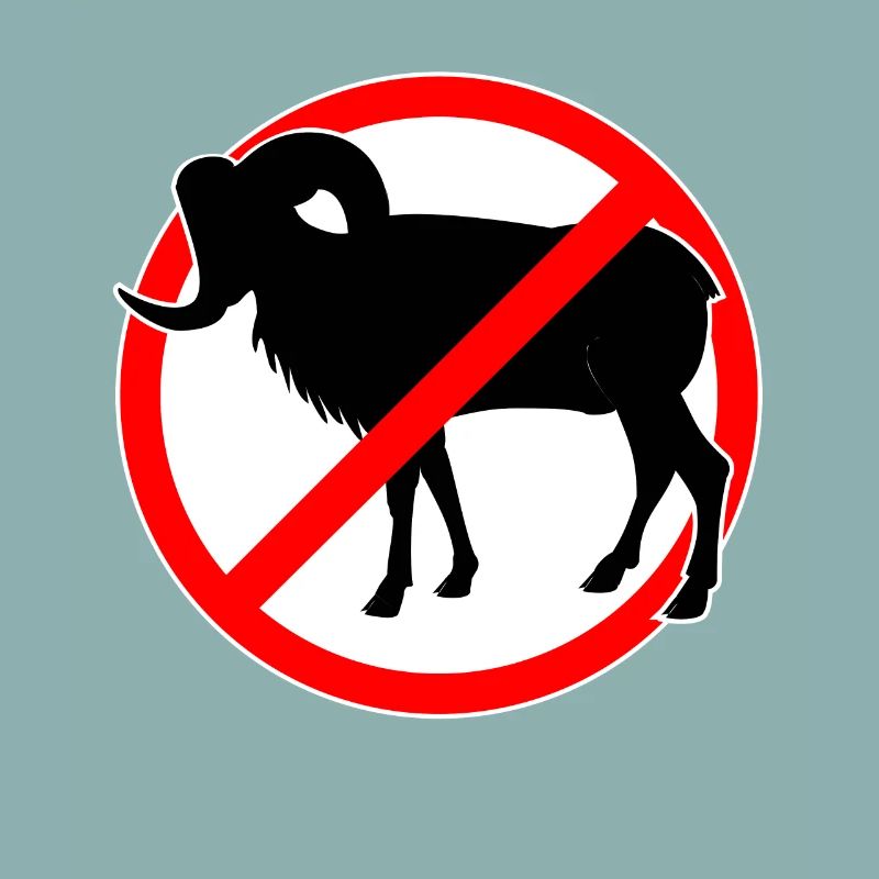 Ziegen oder Mufflons verboten - Ziege