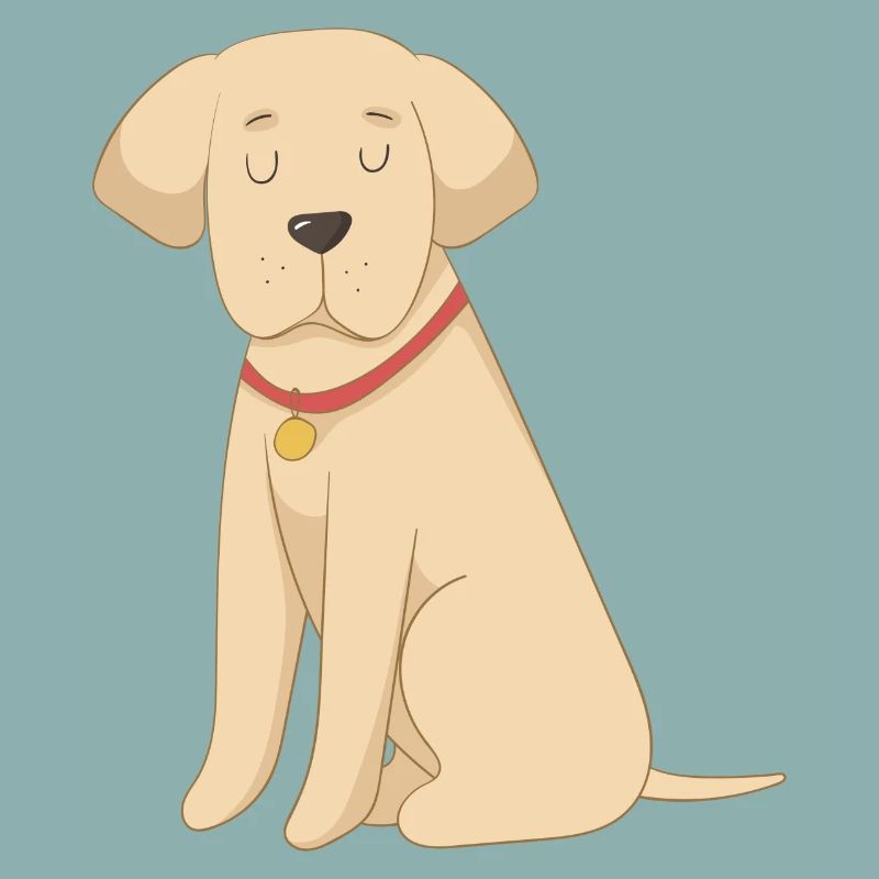 Labrador Gelb