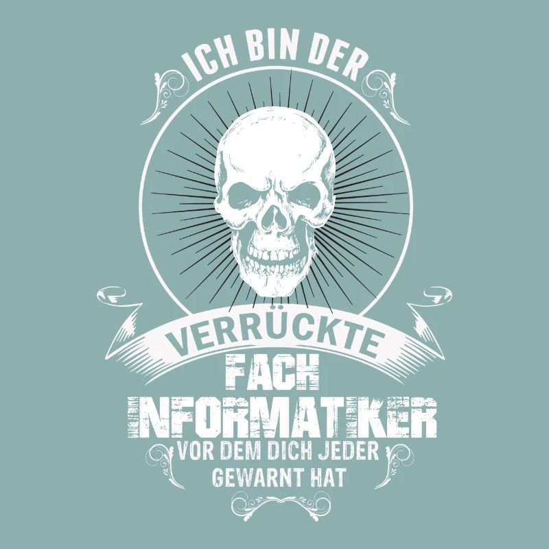 Fach Informatiker