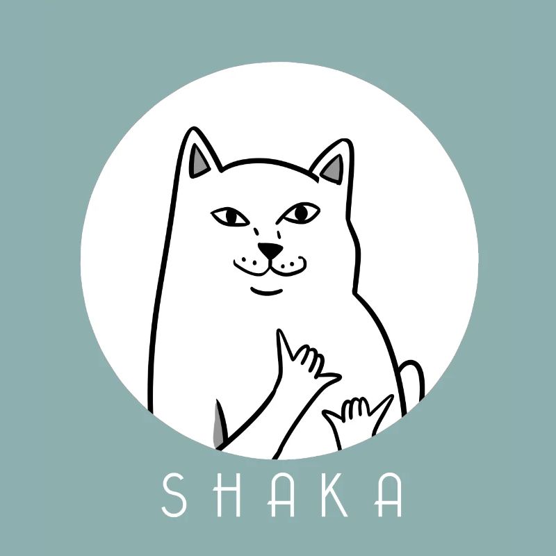 MEME CAT - Shaka - chat - chaton