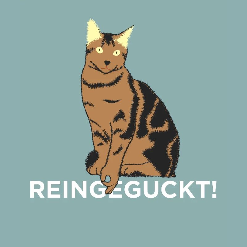 Reingeguckt - Katze
