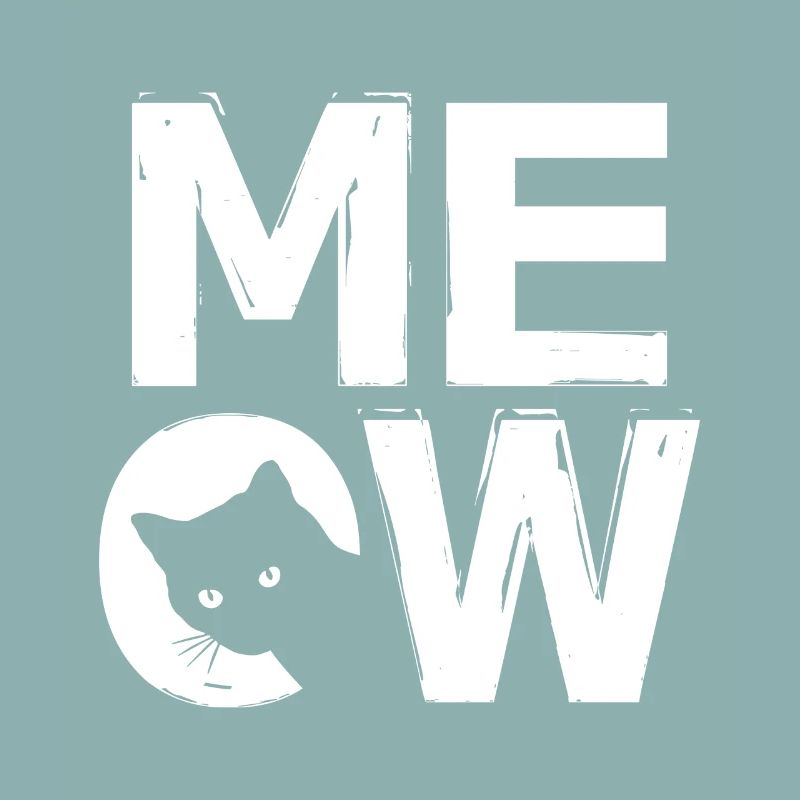 MEOW - conception de chat