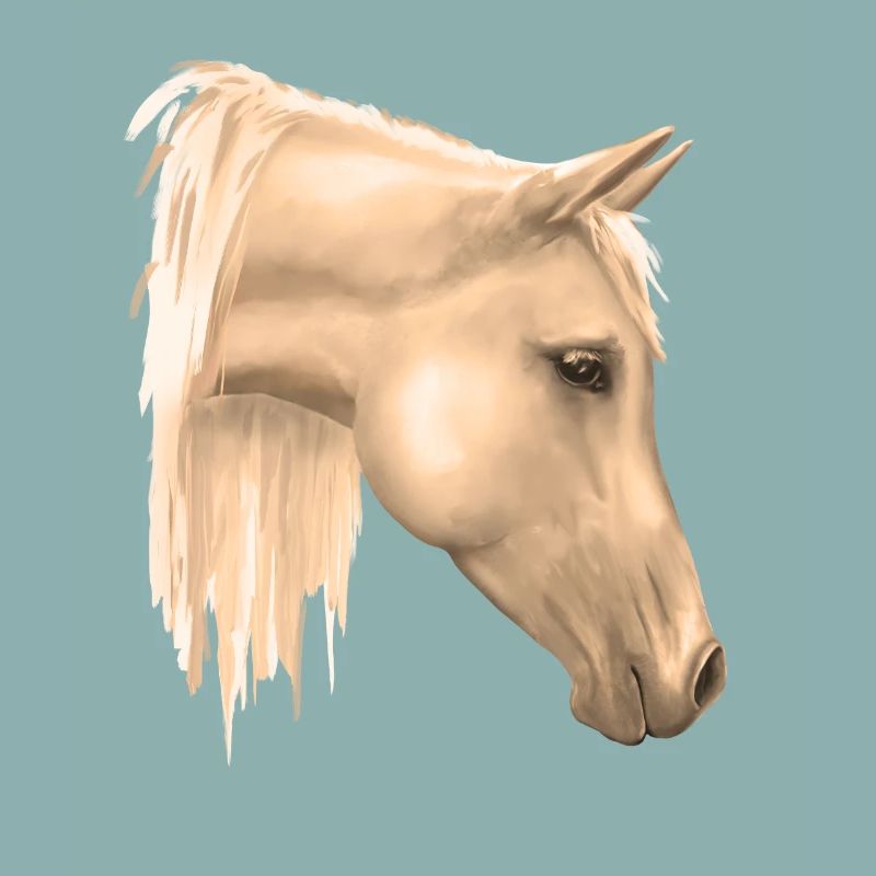 Motif de cheval