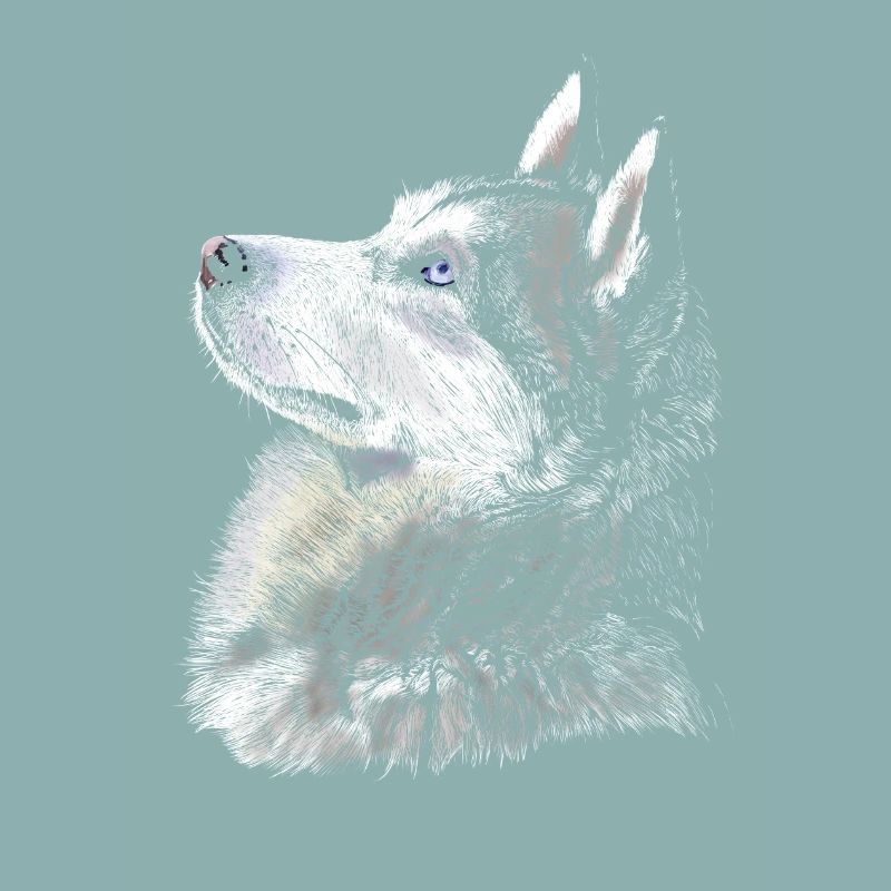 Husky