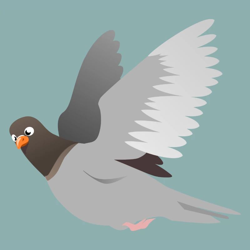 gris Dove