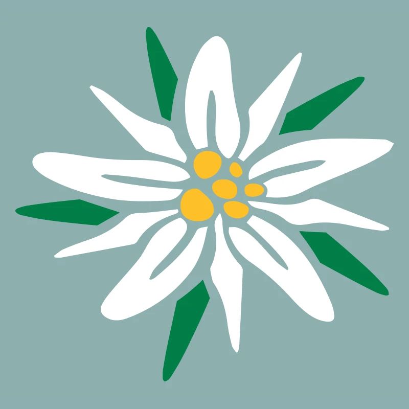 Edelweiss