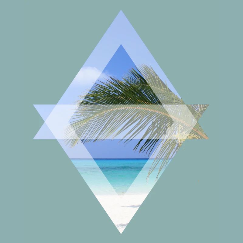 palm leaf