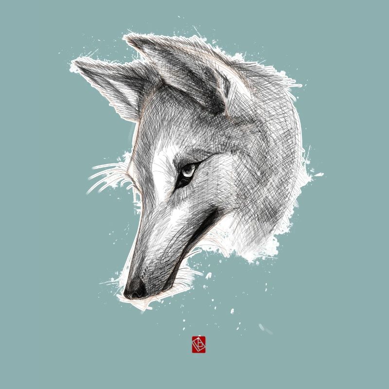 Sketchy Wolf