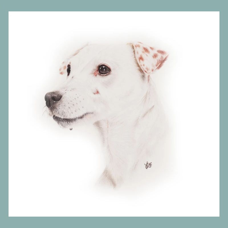 Jack Russell, Whistle