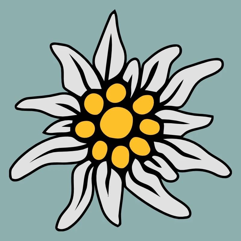 EDELWEISS BLOSSOM