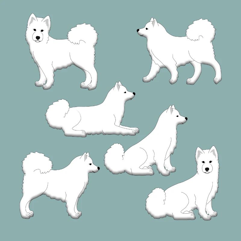 Samoyed selection