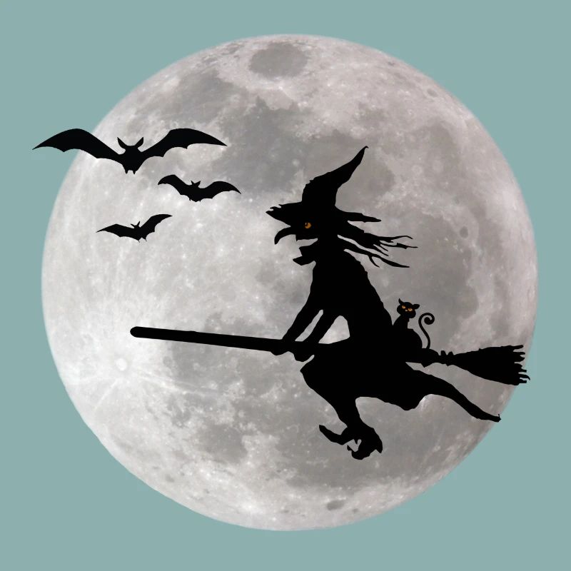 Halloween Hexe mit Katze fliegt am Himmel