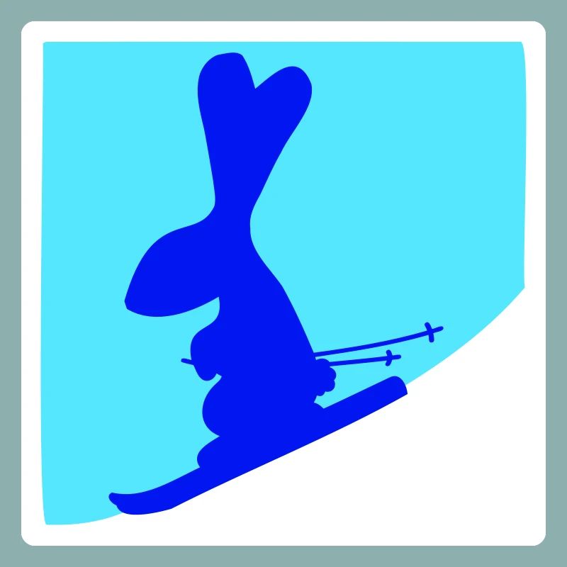 Rabbit Ski Bunny Skiing Winter Skiing Snow