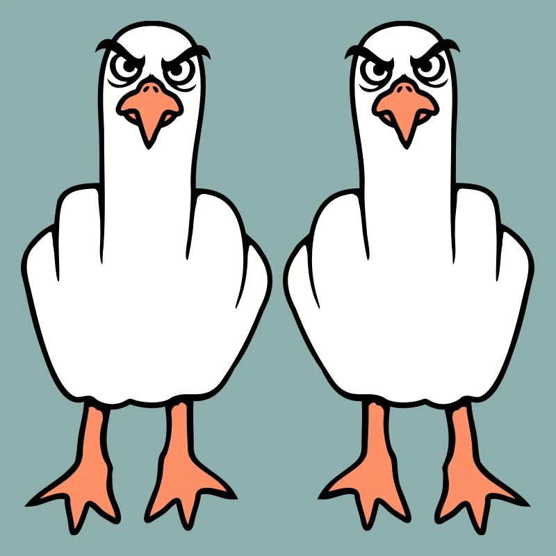 2 Seagulls Middle Finger Insult Stinkfinger Team