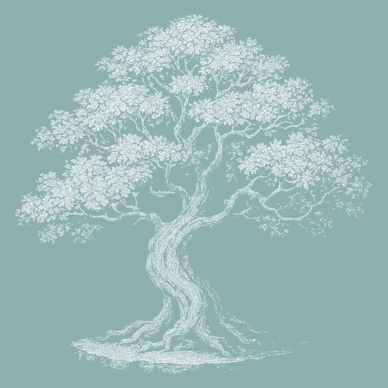 Bonsai