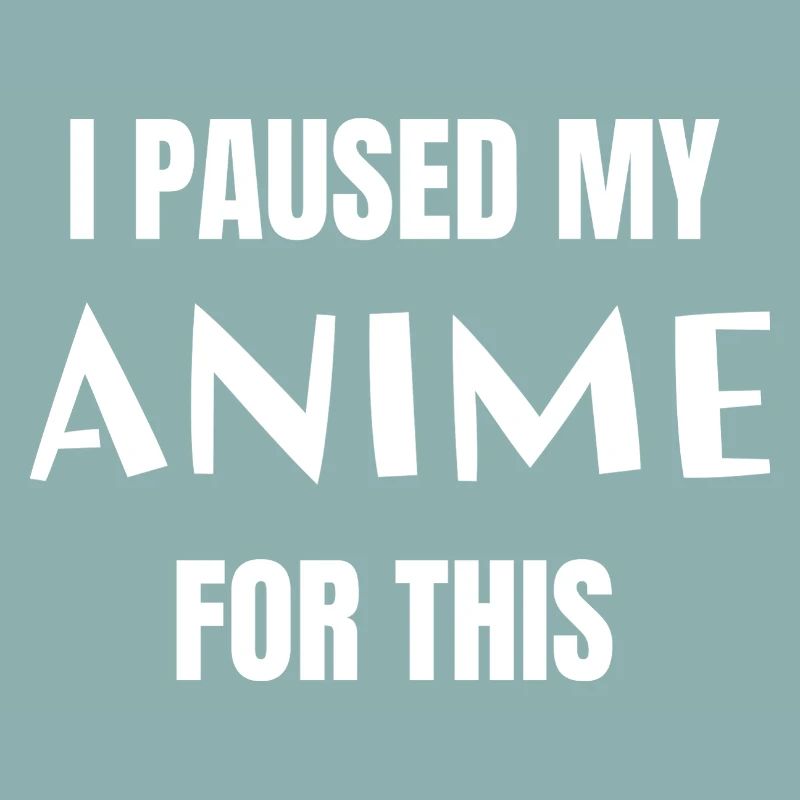 I paused my Anime for this